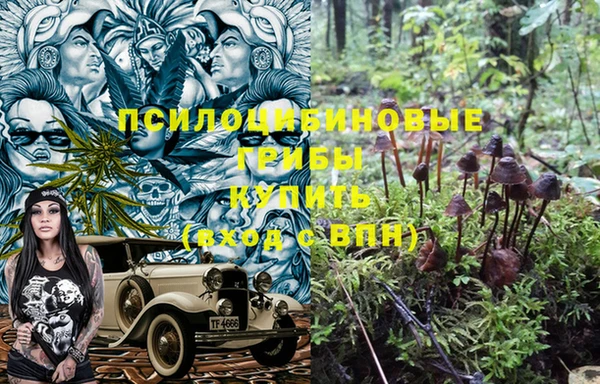 спиды Балабаново