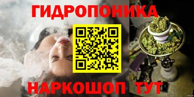 шишки Кулебаки