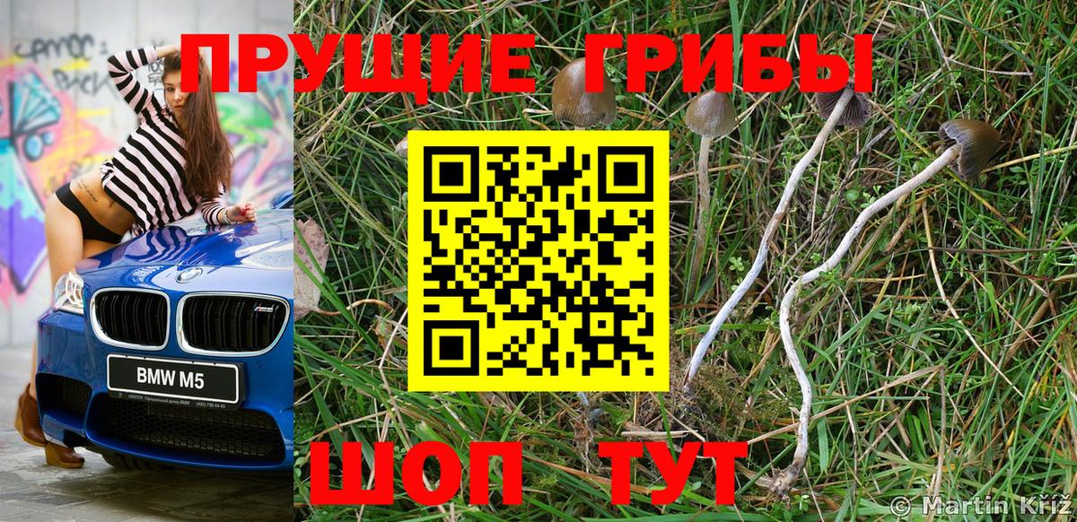 Галлюциногенные грибы мухоморы Зима